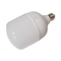 Светодиодная лампа E27 B-6500K-E27 (белый 6500К; 30Вт)